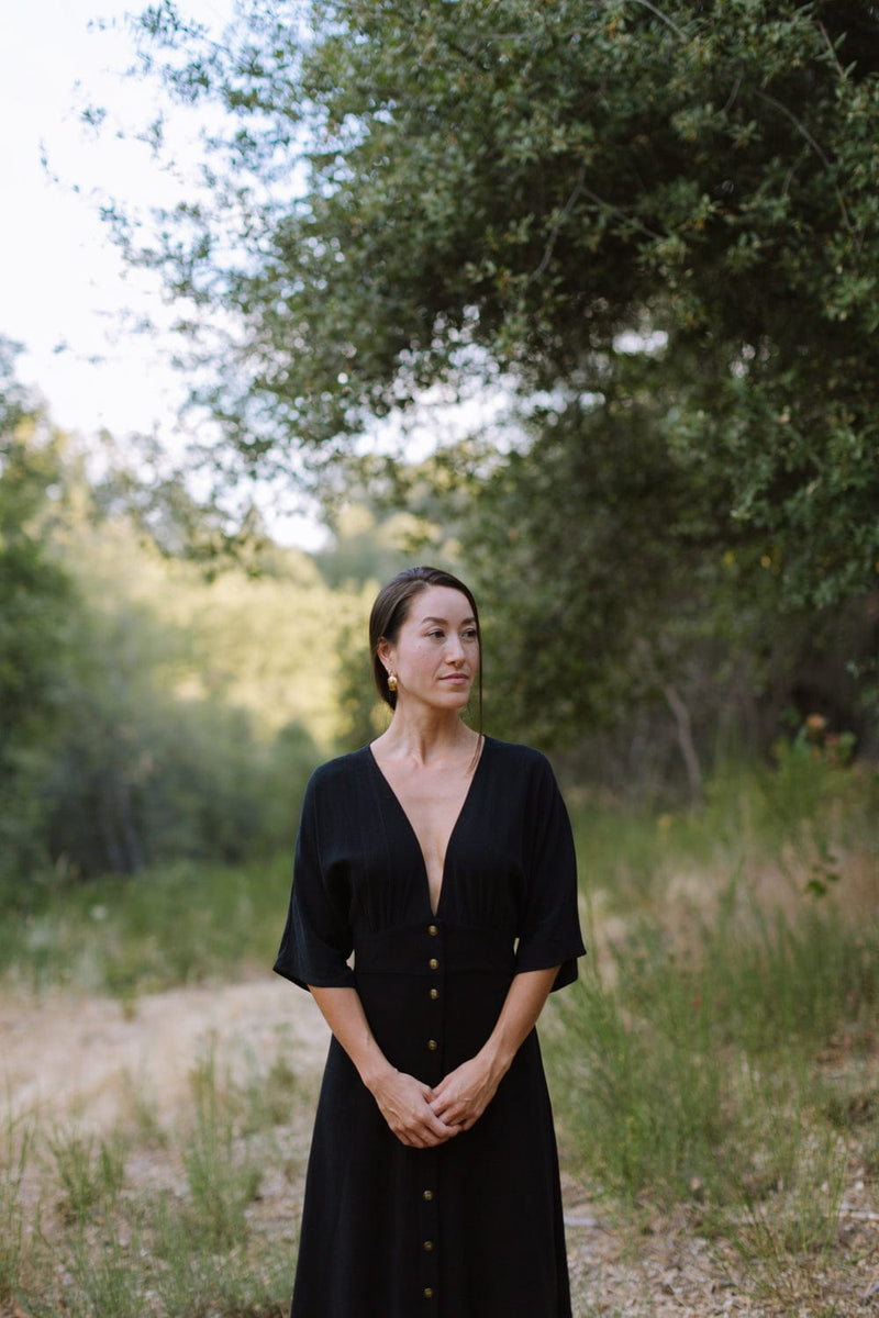 Field Day Dress Finley Dress in Black Linen