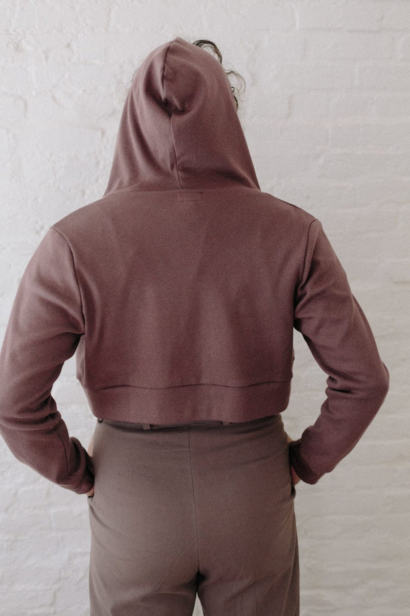 Field Day Hoodie Cropped Hoodie In Sienna Rose